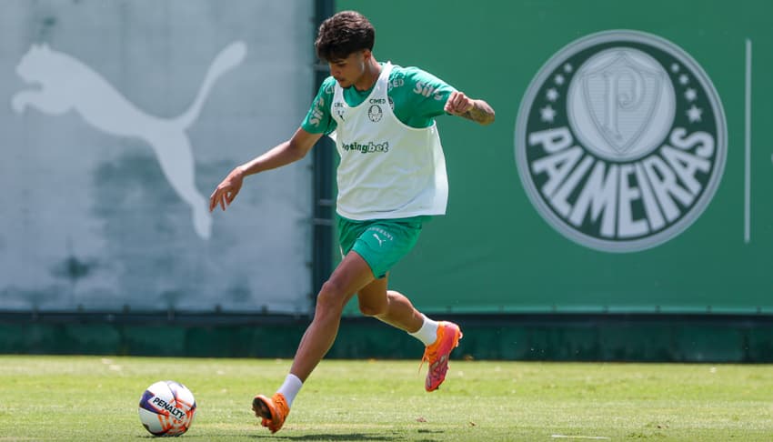 (Foto: Fabio Menotti/Palmeiras/by Canon)