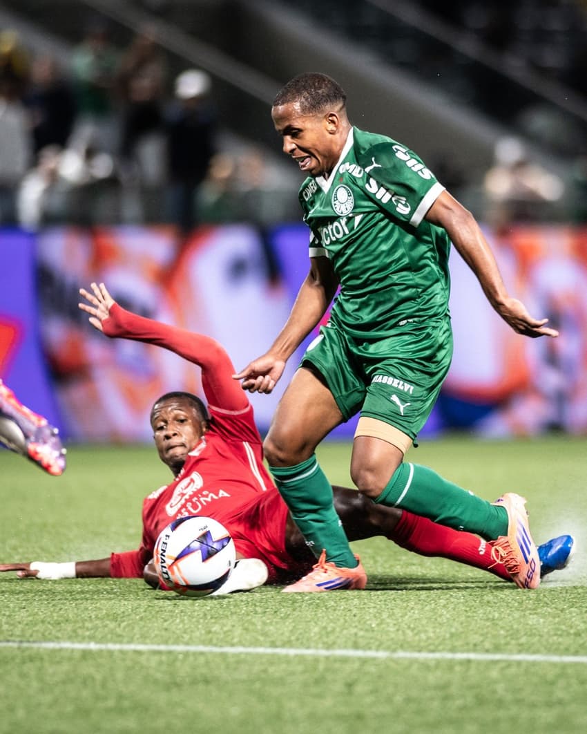 Palmeiras - Copinha - Ibrachina