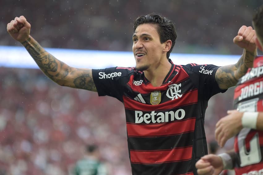 Pedro em ação pelo Flamengo (Foto: Dhavid Normando/Código19/Gazeta Press)