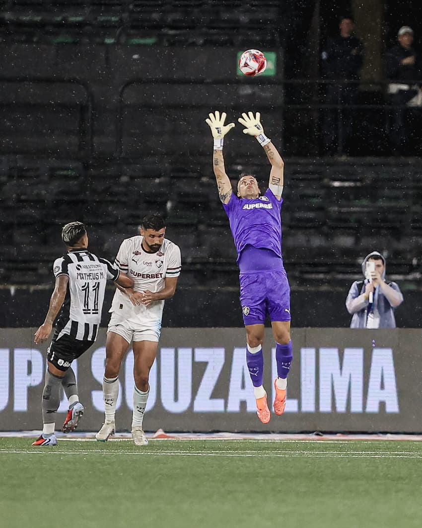 Fábio em ação em Botafogo x Fluminense (Foto: Lucas Merçon/ Fluminense FC)