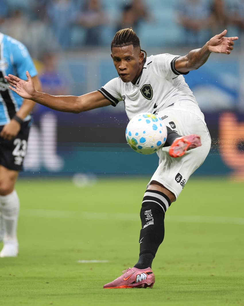 Danilo é um dos destaques do Botafogo no ano (Foto: Vítor Silva/Botafogo)
