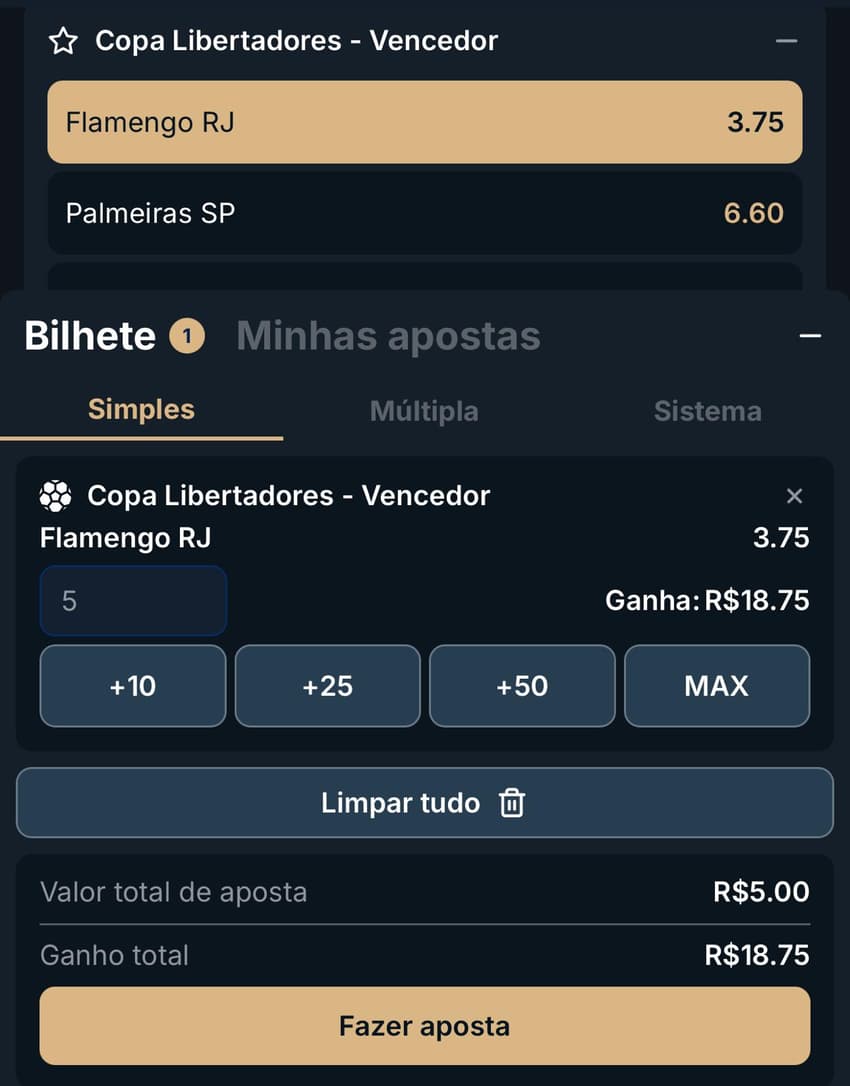 Captura de tela do bilhete de apostas na Libertadores da Estrela Bet.