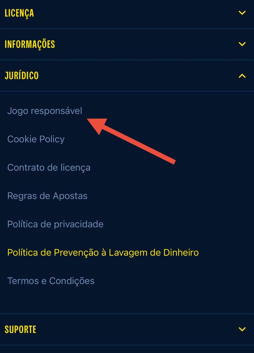 Captura de tela mostra a aba de Jogo Responsável na GingaBet.