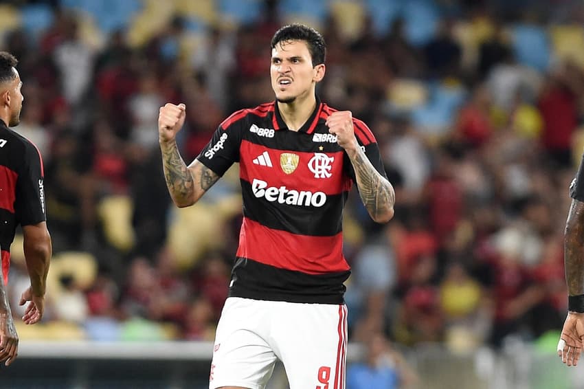 Pedro comemora gol do Flamengo contra o Sampaio (Foto: Alexandre Durão/Zimel Press/Gazeta Press) 