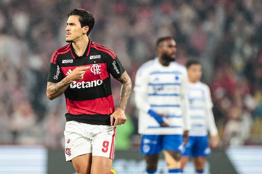 Pedro comemora gol contra o Cruzeiro (Foto: Gilvan de Souza/Flamengo)