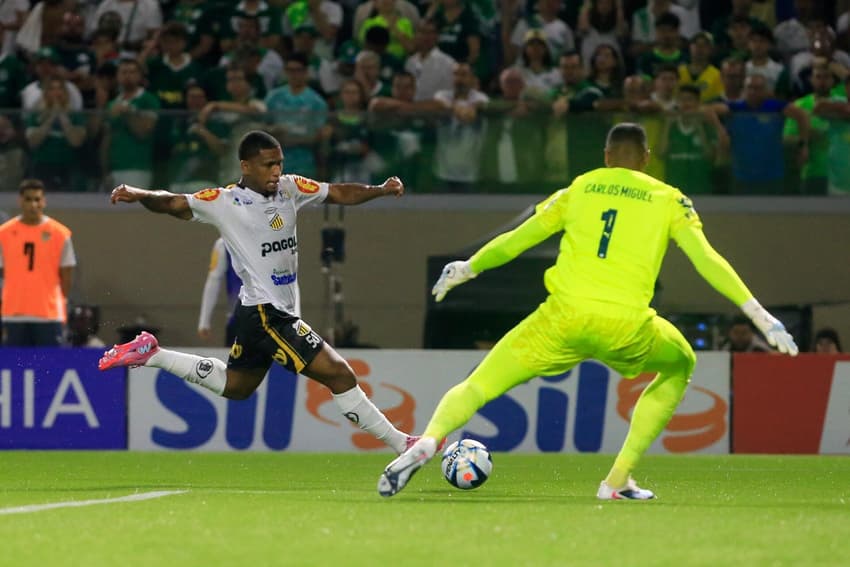Campeonato Paulista 2026; jogo Palmeiras x Novorizontino (Foto: Fernando Roberto/UAI Foto/Gazeta Press)
