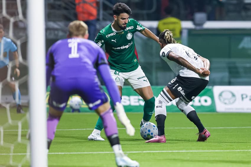 Palmeiras e Botafogo se enfrentam pela 7ª rodada do Brasileirão (Foto: Léo Barrilari/GazetaPress)