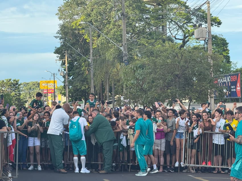 Palmeiras - Paulistão