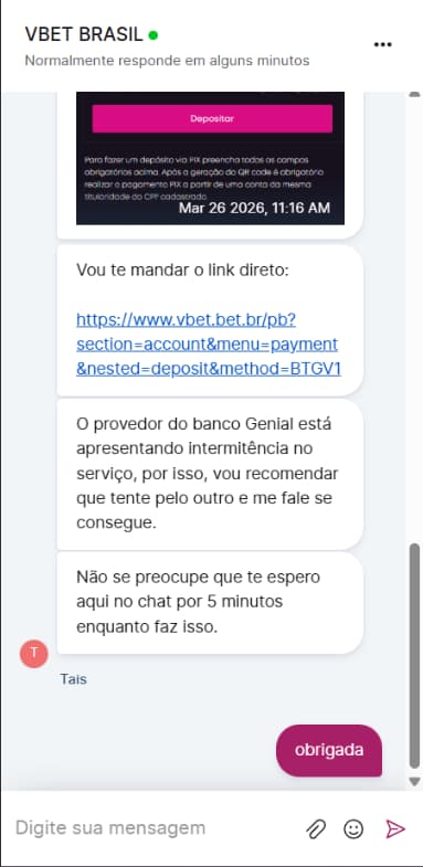 Conversa no chat ao vivo da Vbet com suporte enviando link de depósito e instruções