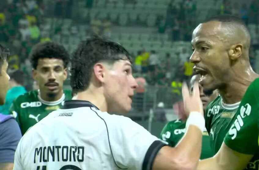 Marlon Freitas, do Palmeiras, se envolveu em confusão com jogadores do Botafogo (Foto: Reprodução/sportv)