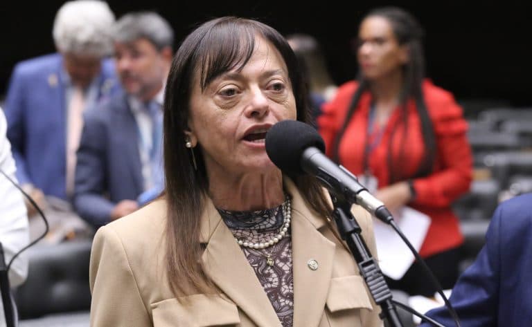 Alice Portugal, relatora do projeto na Câmara (Foto: Kayo Magalhães/Câmara dos Deputados) 