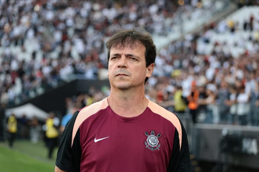 fernando diniz técnico treinador