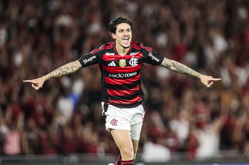 Pedro comemora gol em Flamengo x Vitória (Foto: Gilvan de Souza/Flamengo)