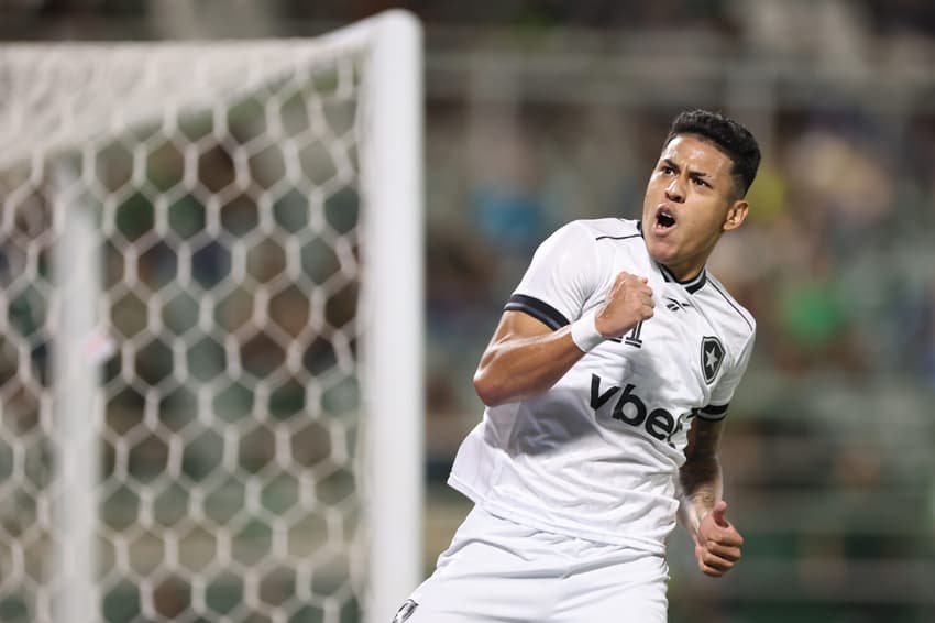 Matheus Martins brilhou na vitória do Botafogo sobre a Chapecoense (Foto: Vítor Silva/Botafogo)