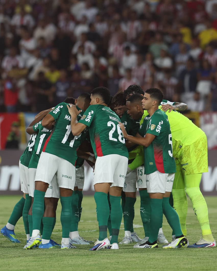 Palmeiras onde assistir 