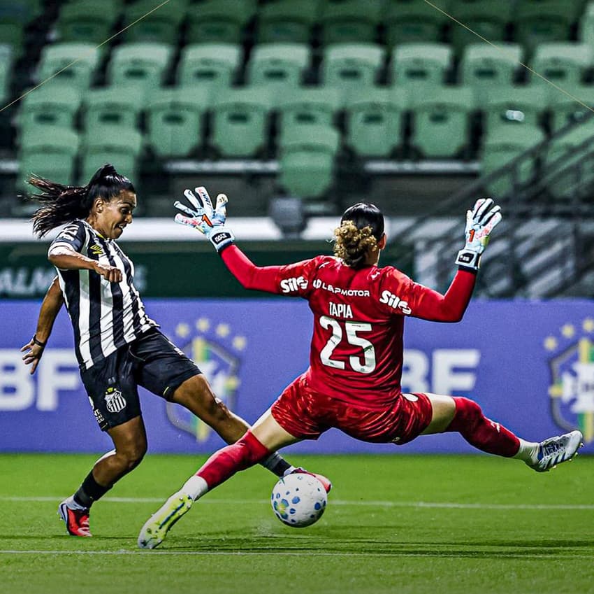 Santos e Palmeiras empataram sem gols no Allianz Parque. (Foto: Santos FC/Divulgação)