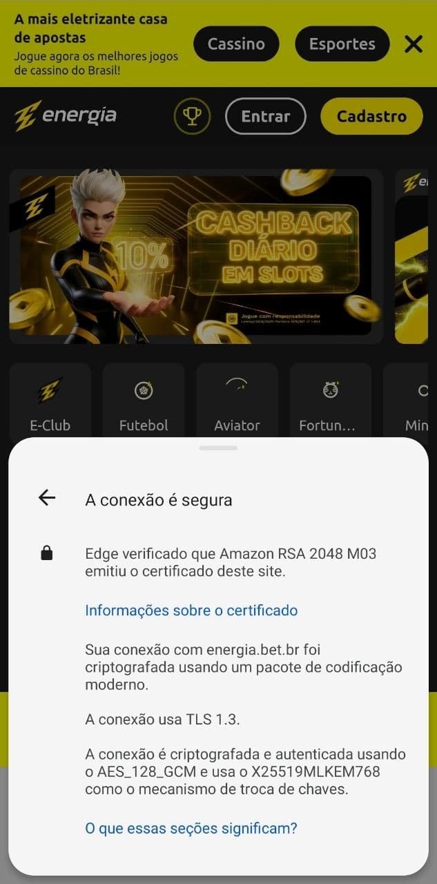 Informações de conexão segura na Energia Bet pelo mobile