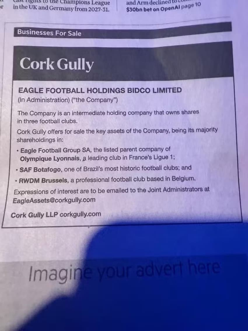 Empresa colocou SAF do Botafogo à venda em anúncio de jornal (Foto: Reprodução)