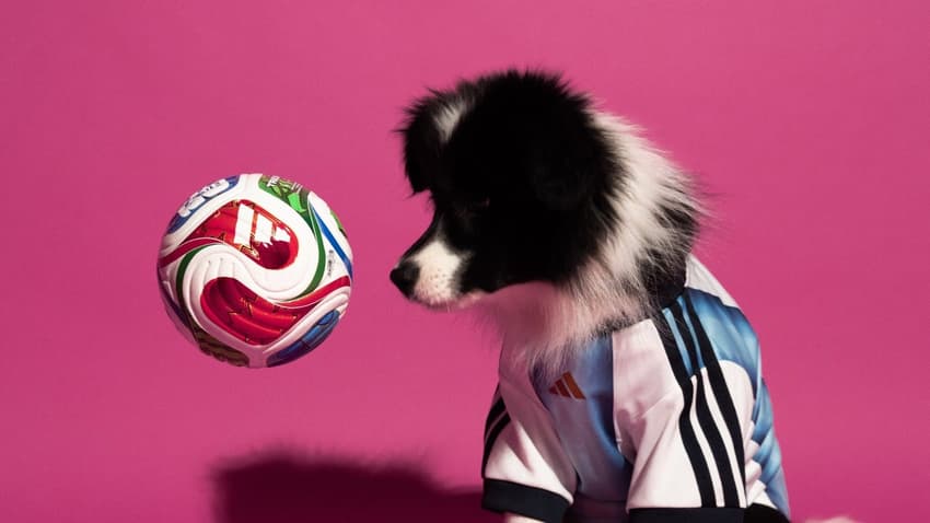 Adidas lançou uniformes das seleções da Copa para cachorro. (Foto: Divulgação/Adidas)
