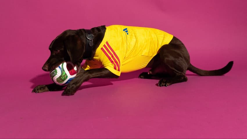 Adidas lançou uniformes das seleções da Copa para cachorro. (Foto: Divulgação/Adidas)