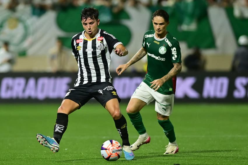 Palmeiras e Santos na Arena Barueri pelo Paulistão (Foto: Eduardo Carmim/Photo Premium/Folhapress)