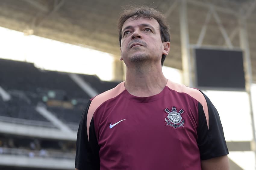 Fernando Diniz em Botafogo x Corinthians (Foto: Dhavid Normando/Código 19/Folhapress)