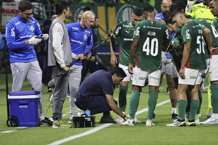 Palmeiras
