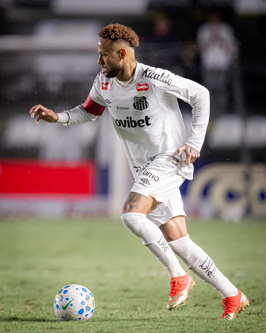 Neymar está na pré-lista de Carlo Ancelotti (Foto: Raul Baretta/ Santos FC)
