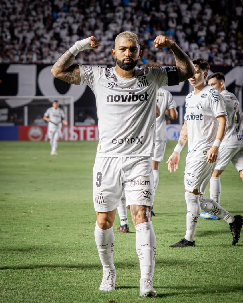 Gabriel Barbosa comemora gol pelo Santos na Vila Belmiro. (Foto: Raul Baretta/ Santos FC)