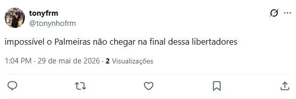 Torcedor analisando a situação do Palmeiras na Libertadores