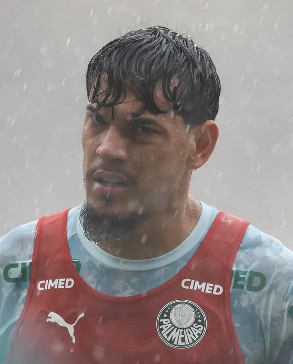 Palmeiras