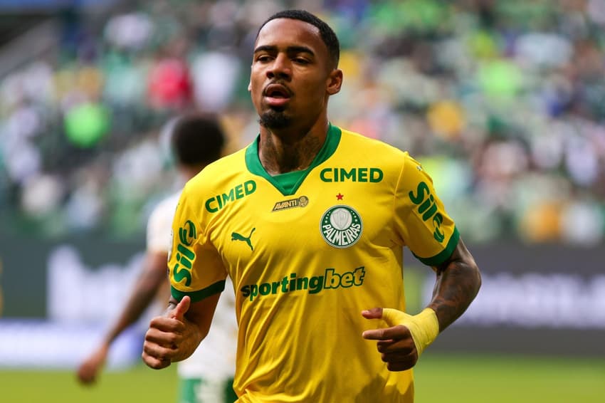 Allan, do Palmeiras, contra a Chapecoense (Foto: Yuri Murakami/f2.8 news/Folhapress)
