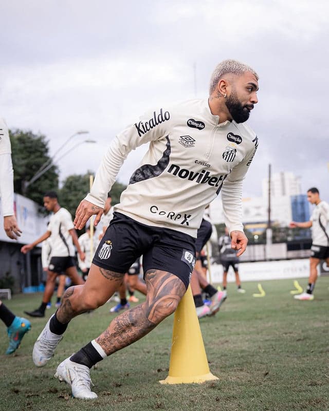 Gabriel Barbosa marcou 14 gols em 27 jogos. (Foto: Raul Baretta/ Santos FC)