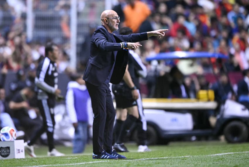 Luis de la Fuente é o técnico da Espanha (Foto: Carl de Souza/AFP)