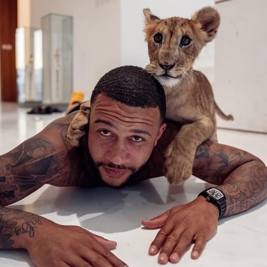 Memphis Depay com um ligre nas costas