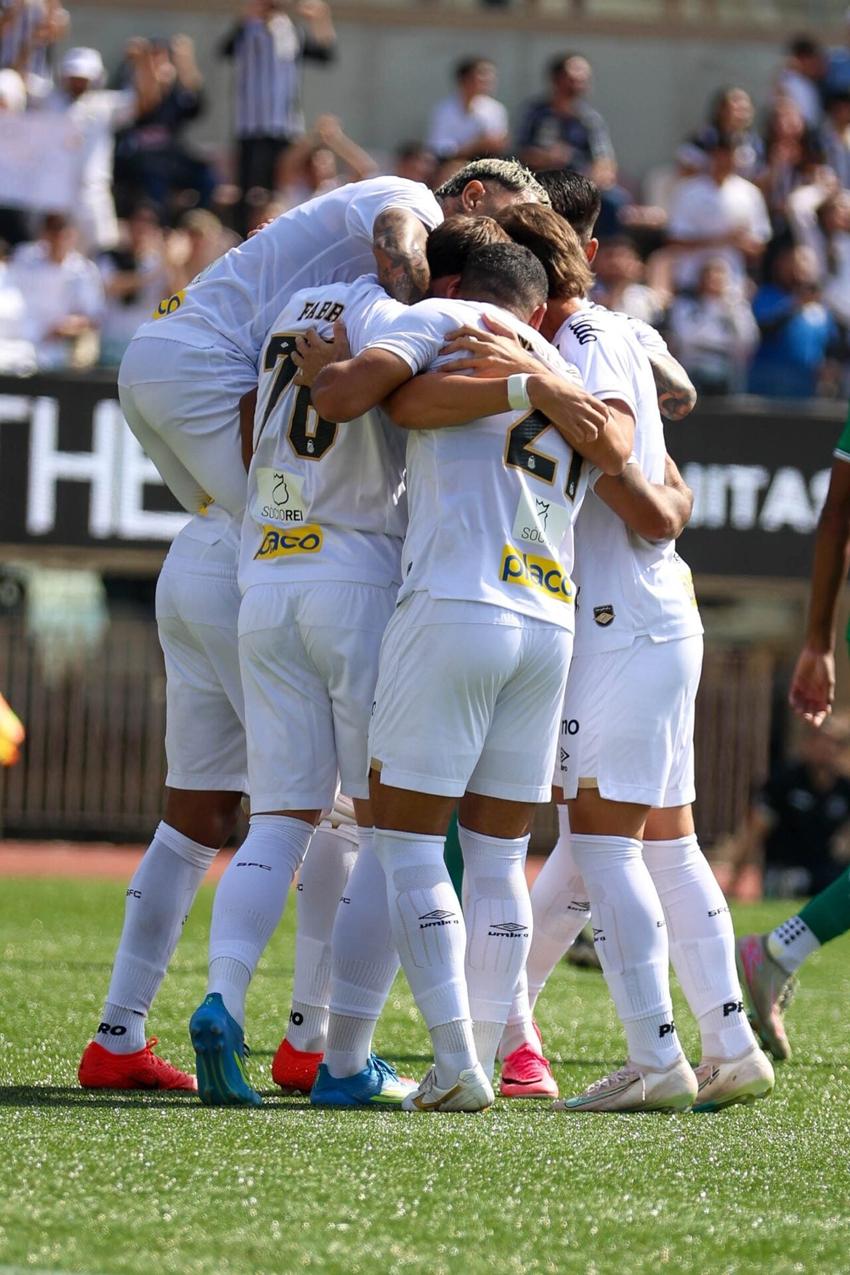 Elenco do Santos no Pacaembu. (Foto: Agência Enquadrar/Folhapress)