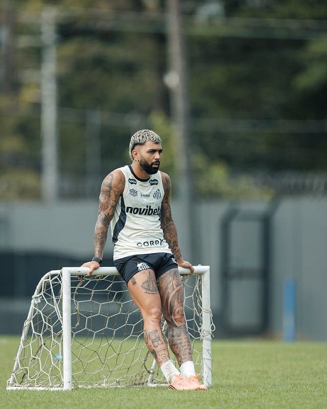 Gabigol tem contrato com o Peixe até o final do ano. (Foto: Raul Baretta/ Santos FC)