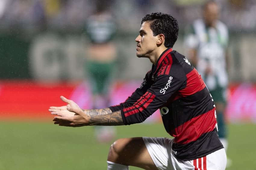 Pedro comemora gol pelo Flamengo contra a Chapecoense no Brasileirão