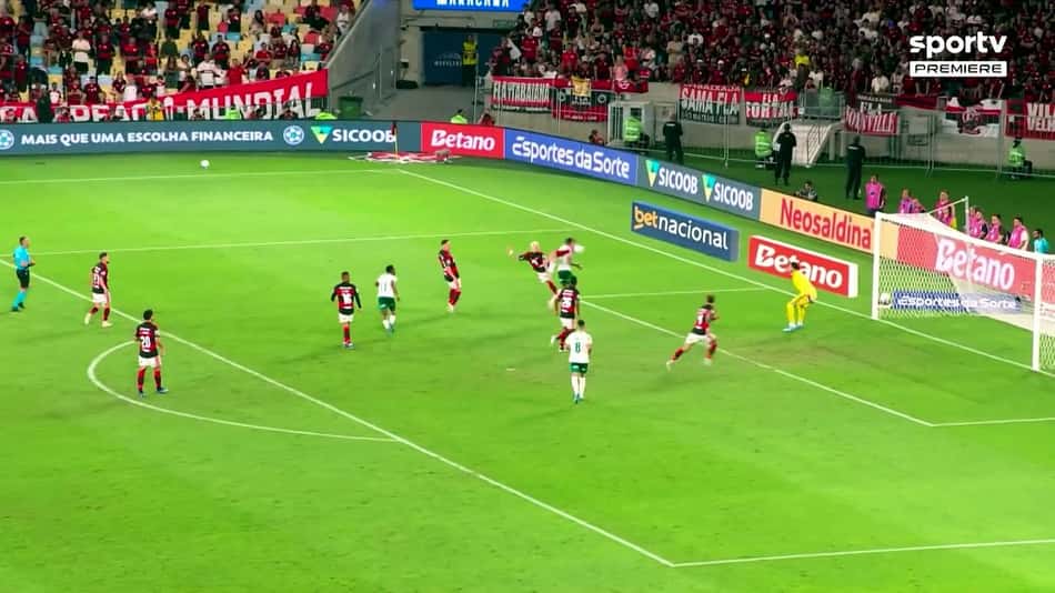 thumbnail Relembre gols de Allan pelo Palmeiras