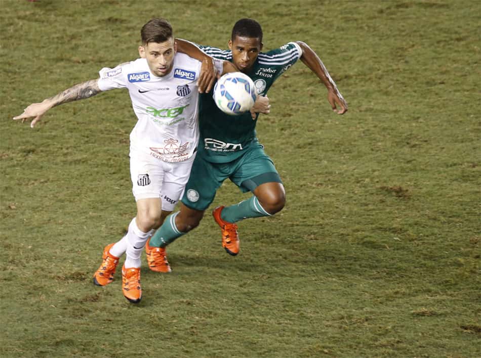 Copa do Brasil - Santos x Palmeiras (foto:Ari Ferreira/LANCE!Press)