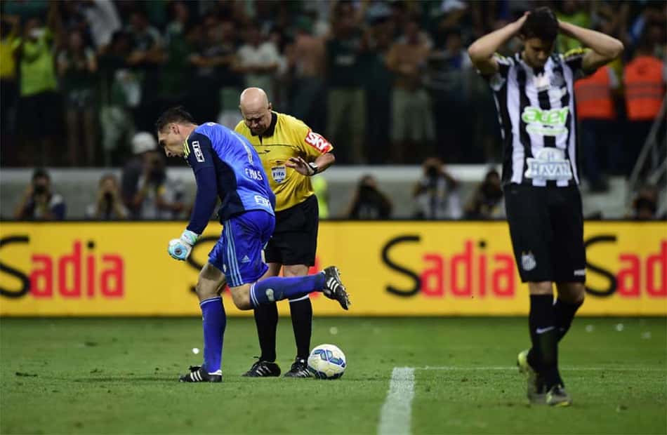 Copa do Brasil - Palmeiras x Santos (foto:Ari Ferreira/LANCE!Press)