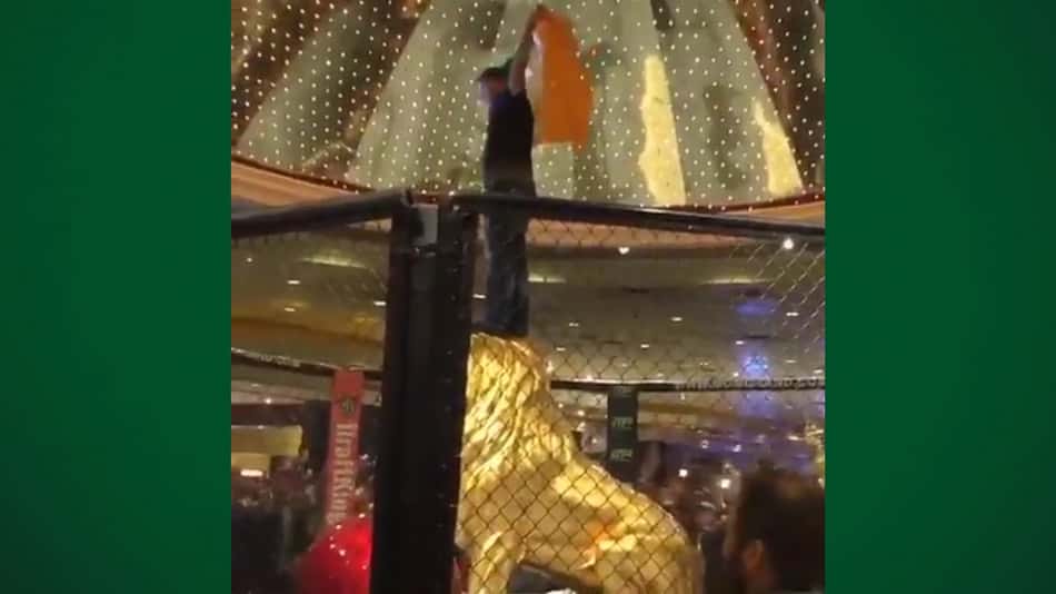 VÍDEO: Extasiados, fãs de McGregor 'dominam' hotel de luxo em Las Vegas
