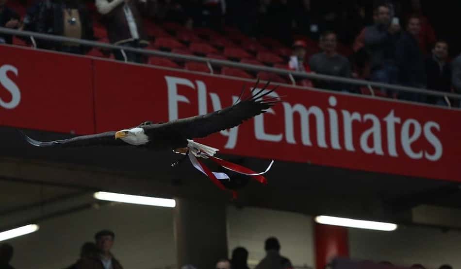 Futebol na Terrinha: Tradicional águia do Benfica foge do protocolo e 'vai ver' o jogo da arquibancada