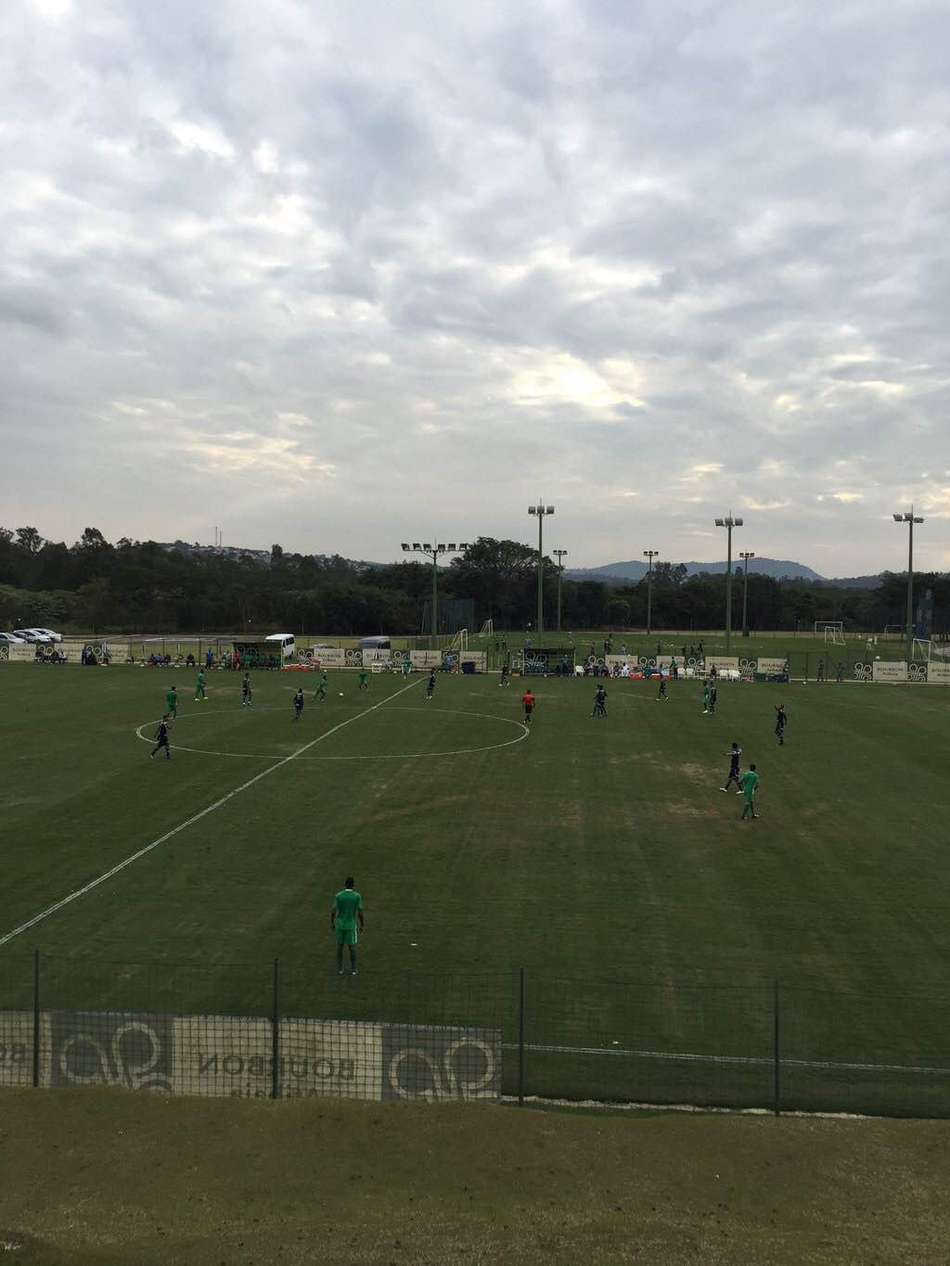 Palmeiras