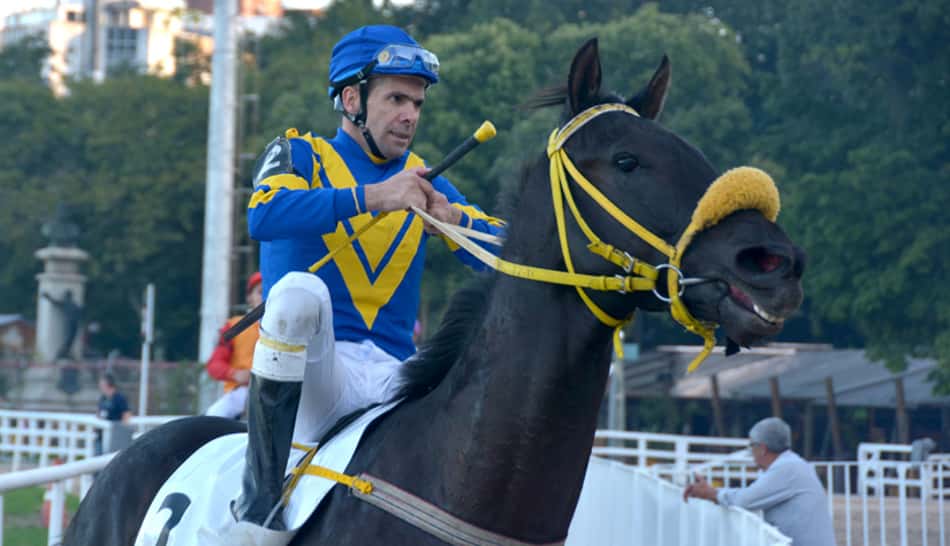 Vencedor do Turfe Gaúcho, Samurai estreia com pinta de barbada