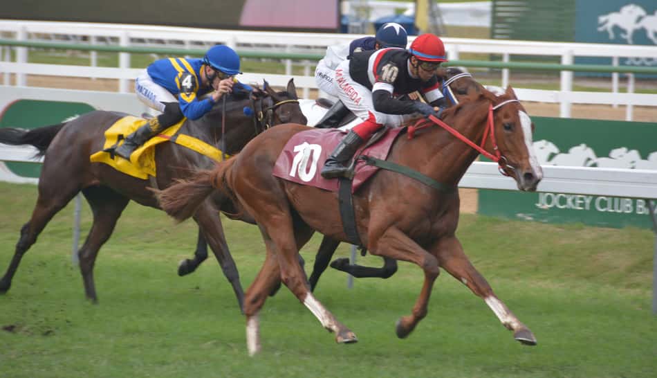 Conheça o Jockey Club Brasileiro