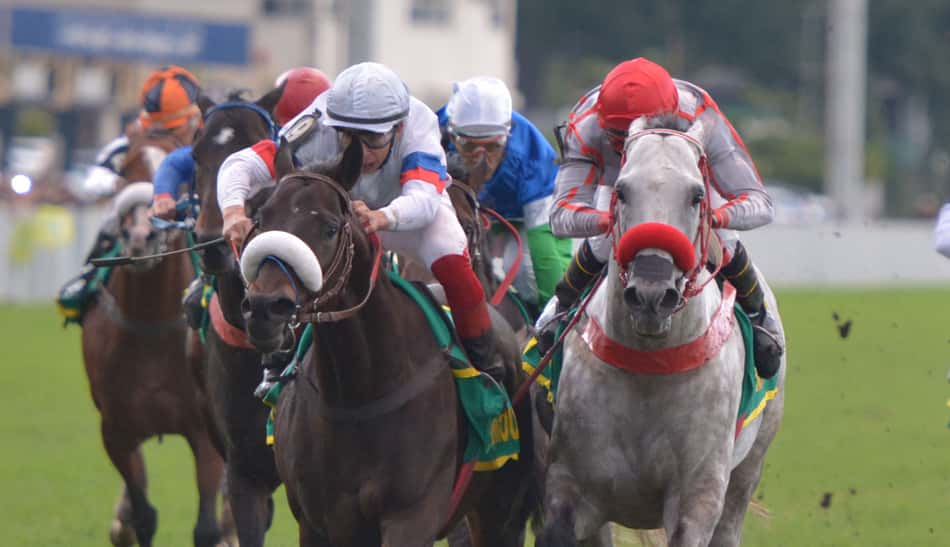 My Cherie Amour sente e está fora da Breeder's Cup