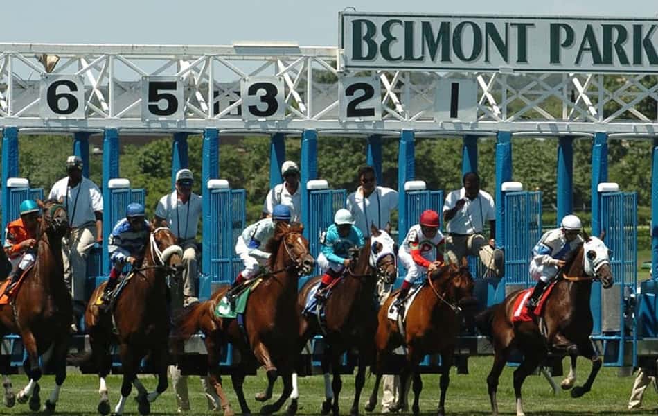 Belmont Park: boa pedida nas apostas