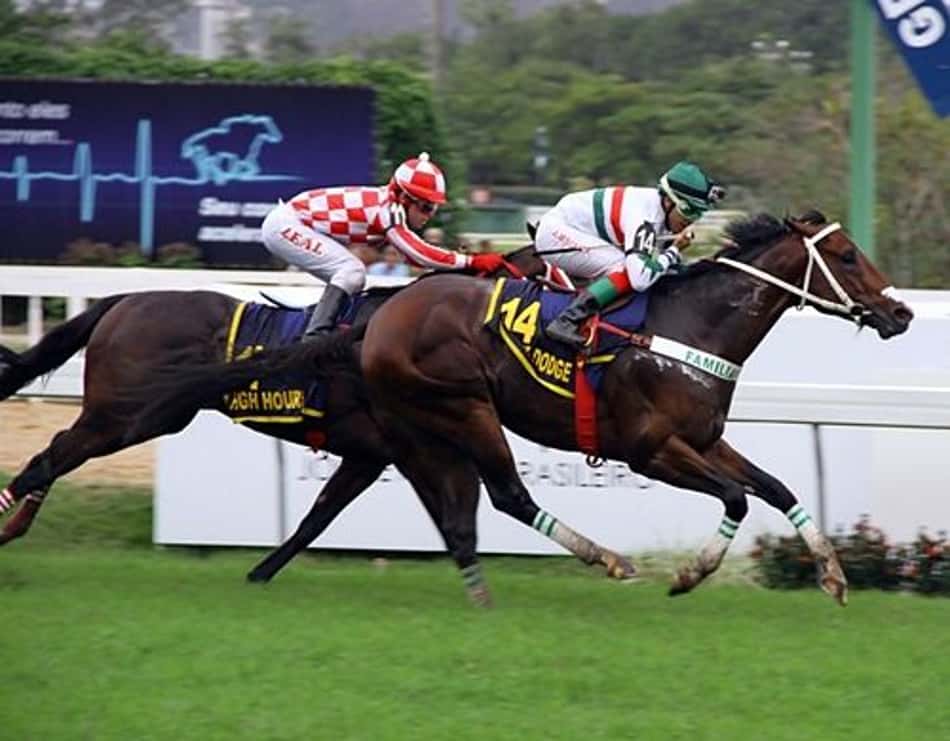 Dez páreos movimentam o sábado no Hipódromo da Gávea