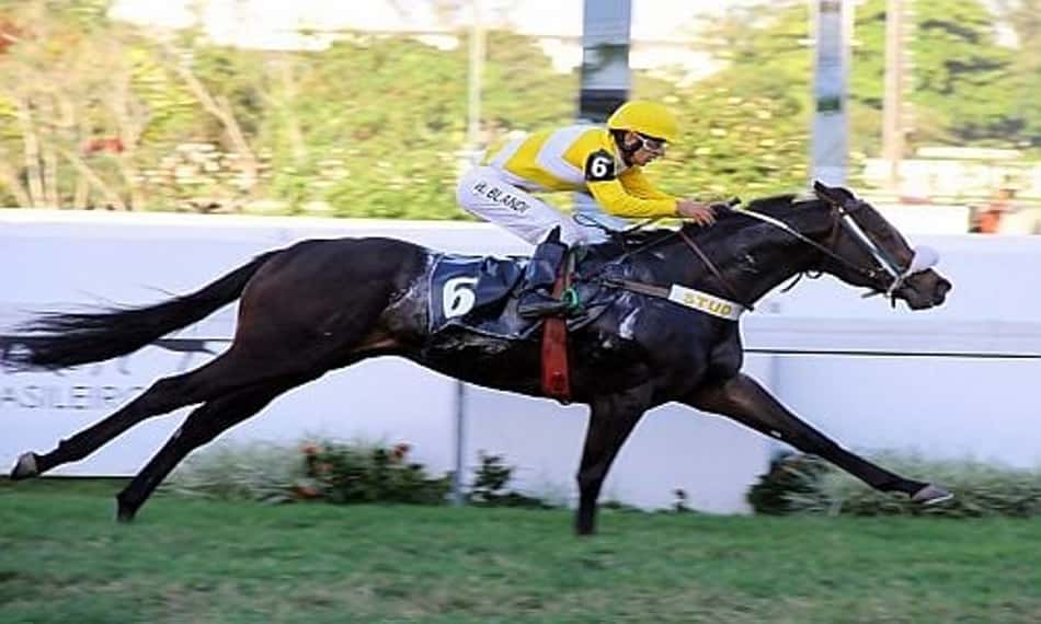 Yankee Bullet mantém invencibilidade com triunfo na Prova Especial Hyperio